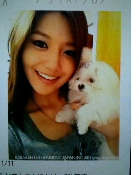 Sooyoung & puppy selca