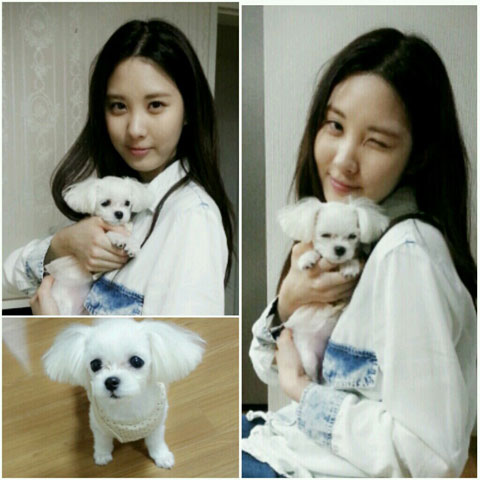 Girls Generation Seohyun Dubu puppy