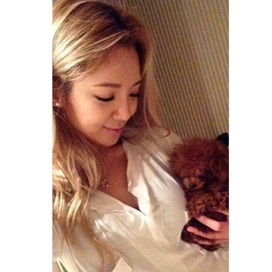 SNSD Hyoyeon puppy Instagram selca
